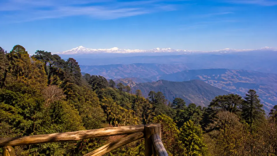 binsar destination-inspired road-trip illustration