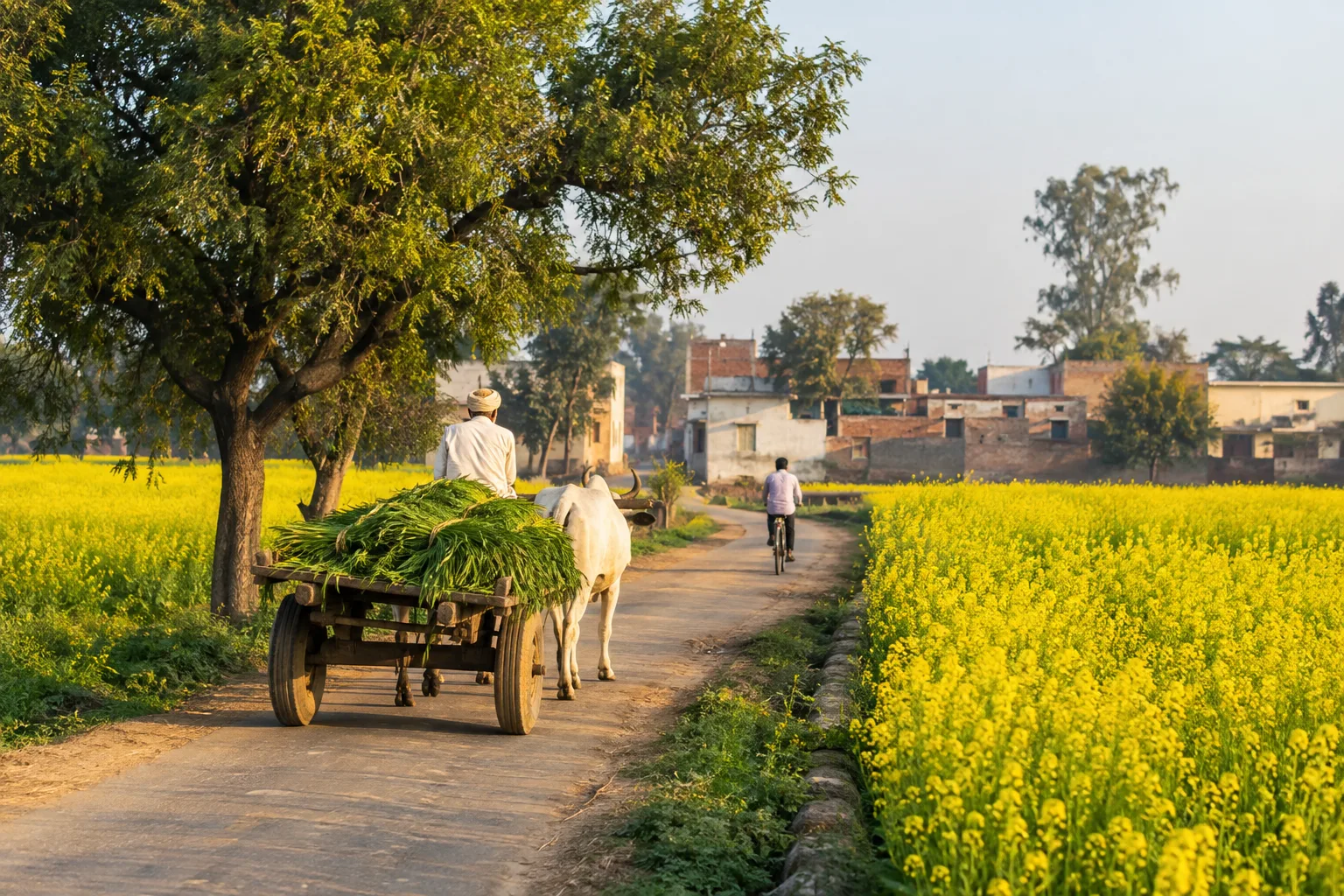 Illustrative Palwal, Haryana destination scene