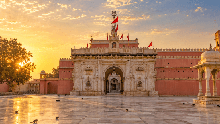 Delhi to Deshnok Karni Mata Tempo Traveller — original Rajasthan travel image
