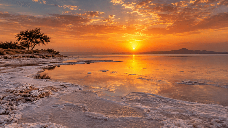 Delhi to Sambhar Lake Tempo Traveller — original Rajasthan travel image
