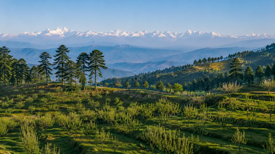Illustrative Ranikhet hill and forest landscape