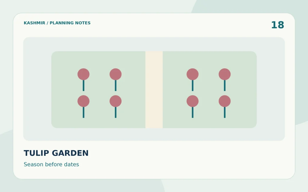Kashmir Tulip Garden Visit Planning: Season, Timing & Access — editorial planning illustration